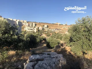  5 قطعة أرض مميزة في بدر الجديدة للبيع بسعر مغري تطل على المخابرات والمدينة الطبية دابوق