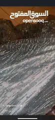  1 فستان محجبات للبيع لون اخضر مايل على ازرق واضح بالصوره
