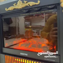  1 صورة القصور والفلل