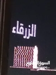  1 صيصان حبش اسود وأبيض عمرهن شهرين
