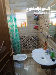  6 بيت دوبلكس للبيع عين الباشا التطوير