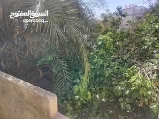  3 بيت مستقل للبيع