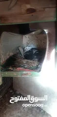  4 طيرة سكسفونية للبدل بلدي