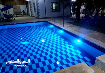  11 مزرعه و شاليه للإيجار اليومي مزارع وشاليهات للايجار يومي أسبوعي شهري في أرقى مكان في الغور تل الروضه