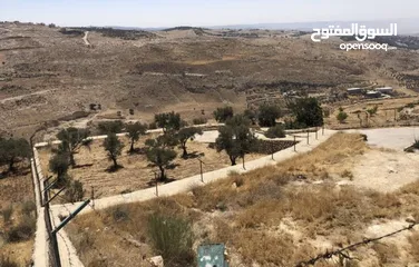  1 مزرعة للبيع في السلط