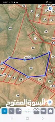  2 قطعة أرض 84