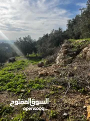  11 أرض للبيع بإطلالة غربية واصل جميع الخدمات