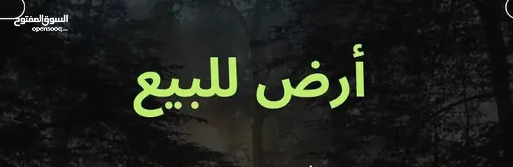  1 ارض للبيع تصنيف فلل