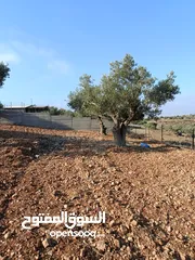  5 ارض للبيع في كوبر