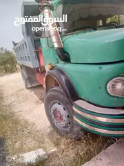  5 قلاب فطس للبيع