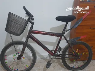  1 بسكليت نمرة 20 للبيع
