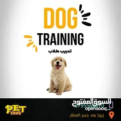  1 Dog training
