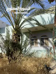  7 بيت مستقل في الباذان للبيع