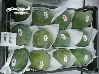  15 فرصه استثمارية