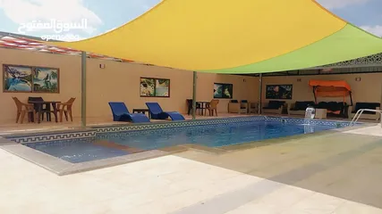  1 شالي للايجار اليومي