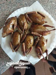  3 متاح حمام لاحم فرنسي بيور