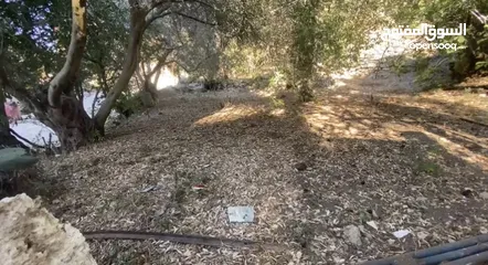  3 ارض 240 متر مربع بسعر لا يعوض