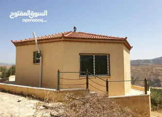  1 مزرعة في جلعد للبيع