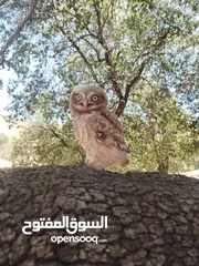  6 حاجات حلوه