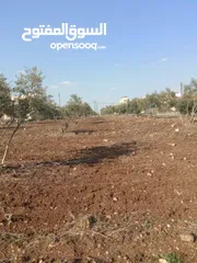  2 ارض للبيع بسعر مناسب جداً