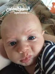  9 ملوخيه ورق وملوخيه ناشفه مفروكه وناعمه بدون عيدان مغسله ومنقبه وجاهزه لطبخ