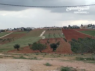  3 6800م للبيع واصل جميع الخدمات مزروع زيتون فيها بئر جمت ماء  كامل القطعه من المالك