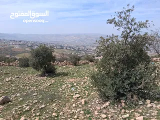  1 ارض مميزة في حي الضياء للبيع من المالك مباشرة
