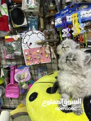  14 هملايا لينكس بيور لعب تابع الوصف بعناية مهم متابعة الوصف عروض حقيقية بمناسبة العرض