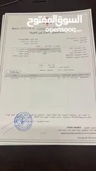  1 شقق  وليست شقة  5 شقق