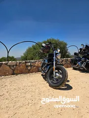  11 Harley Davidson Sportster Custom XL 1200
