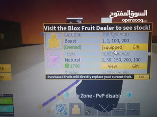  1 bloxfruit account