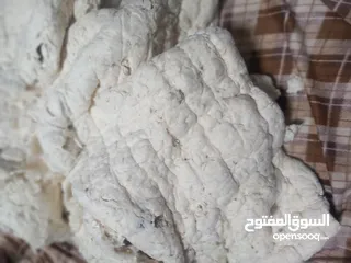  8 قطن و بوليستر جديد