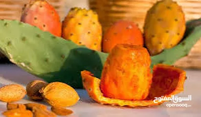  3 نبتى صبار منزلي مثمره