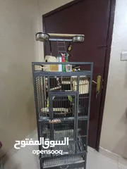 2 bird cage with birds for 25kd