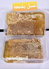  8 مناحل وعسل زهور الشمال خبره السنين نضعها بين يديك