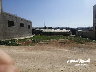  8 أرض للبيع في قرية أبو نصير او البدل