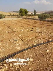  7 قطعة أرض مميزة زراعي او استثماري تصلح شاليه او مزرعة للبيع 10 دونم