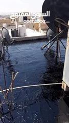  28 تزفيت ساحات وعزل اسطح