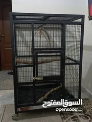  2 قفص  ببغاء  كاسكو أو مكاوي تفصيل متحرك بعجال  حجم كبير وثقيل وشي مرتب