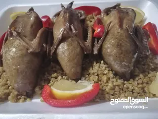  19 زغاليل للحشي طازه وبلدي