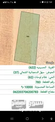  2 ارض للبيع الحسينيه -اراضي معان