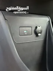  12 BYD سيجال 2024