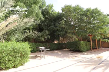  3 شاليه مميز- مفروش- للبيع في الغور
