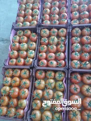  9 خضروات وفواكة طازجه