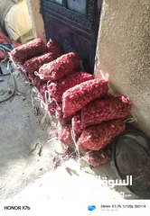 2 بصل  مواني احمر حبة وسط ممتاز بجودة عالية