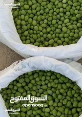  10 زيت زيتون  بعل  عصره أولة