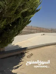  2 بيت مستقل من البزرة
