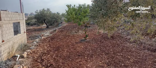  7 قطعة ارض عليها بيت عظم للبيع