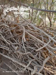  22 تشكيلة حطب للبيع