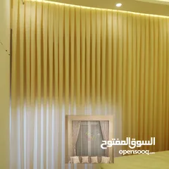  29 الزيبرا ودبل رول ورول